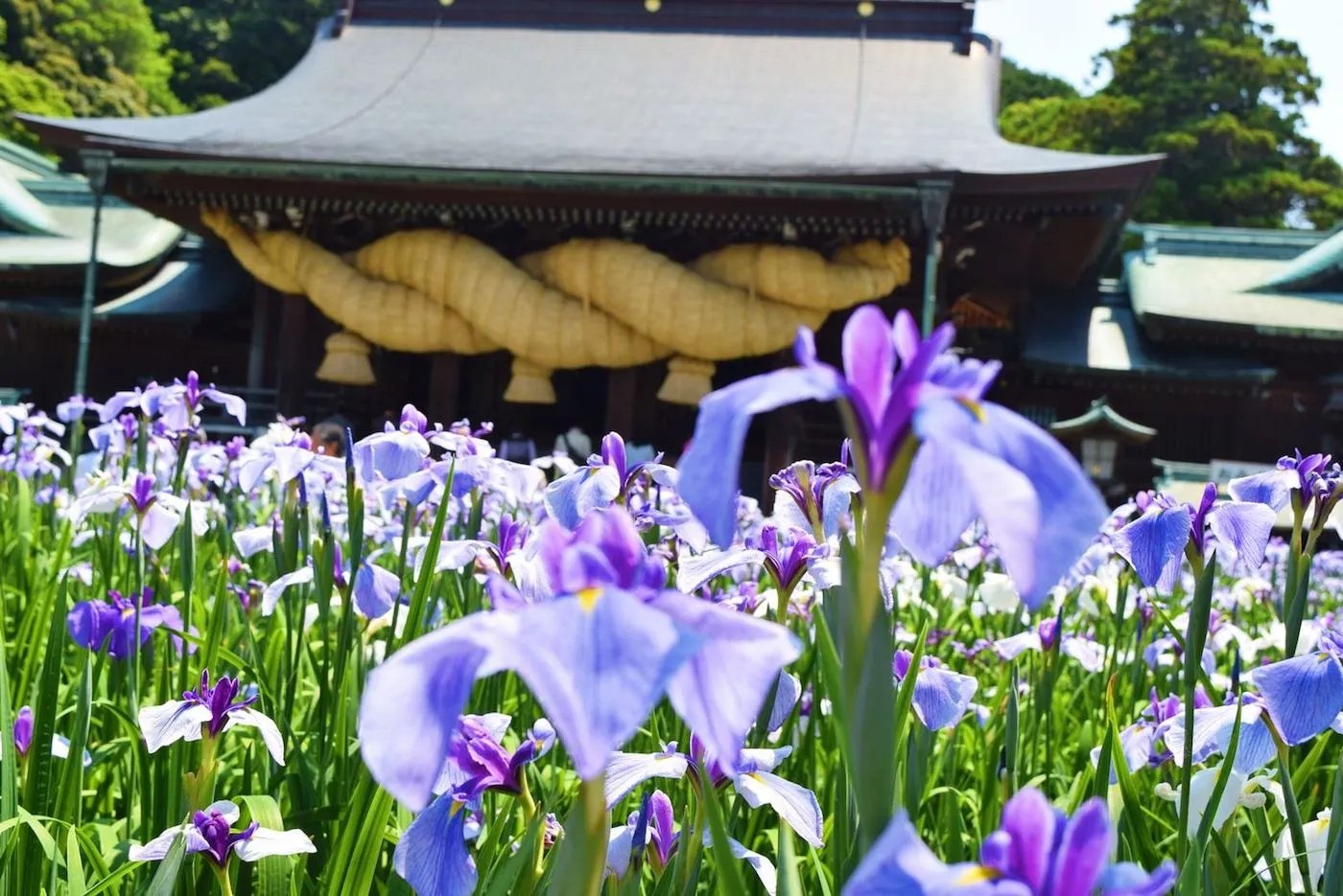 ⛩️ 미야지다케 신사 이미지 10